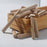 Levoite Wood Dowel Pins - Various Sizes