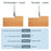 Levoite™ Flattening Router Bits - Carbide Insert 4-Flute Spoilboard Router Bits
