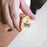 Levoite Brass Wheel Marking Gauge